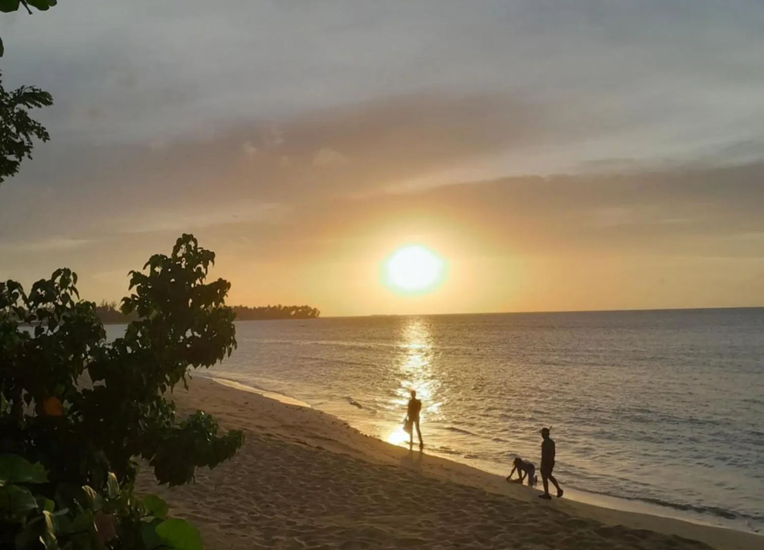 Las Terrenas Oferta Pasos Del Mar Y Pueblo Dominican Republic