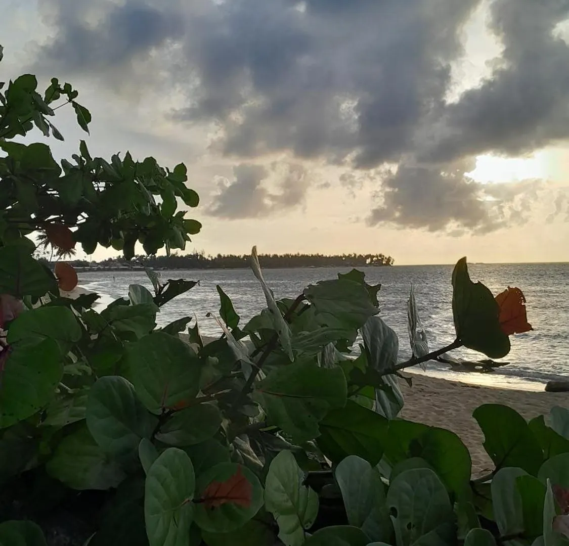 Aparthotel Las Terrenas Oferta Pasos Del Mar Y Pueblo Dominican Republic