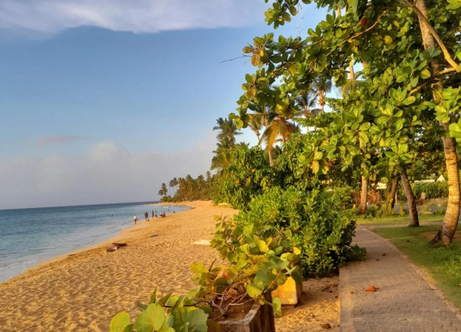 Апарт-отель Las Terrenas Oferta Pasos Del Mar Y Pueblo